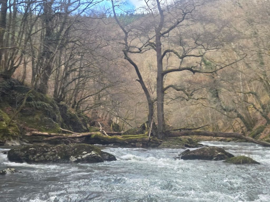 Rechter kanaal (hier links) helemaal dicht. Wals in het linkerkanaal net zichtbaar.