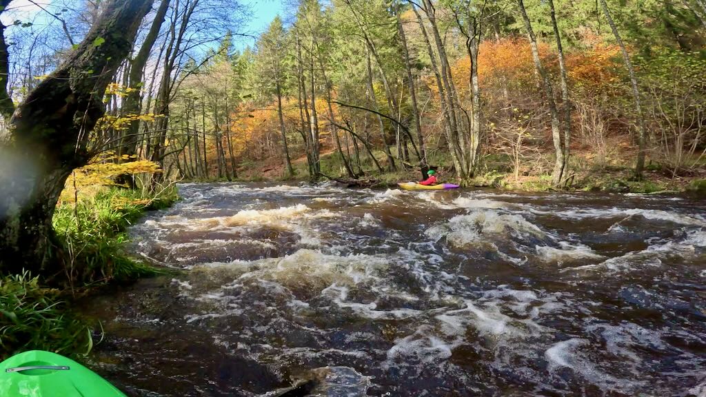 rur 20251030 hans brandende boom