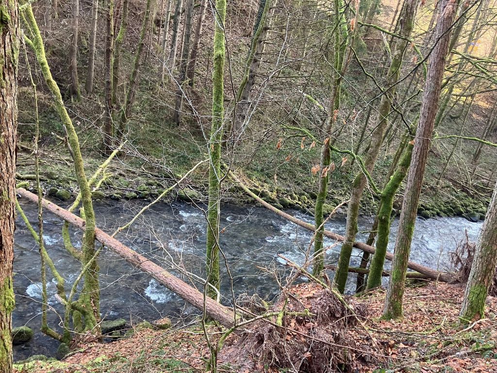 Tussen wegbrug en Elfenmuhle